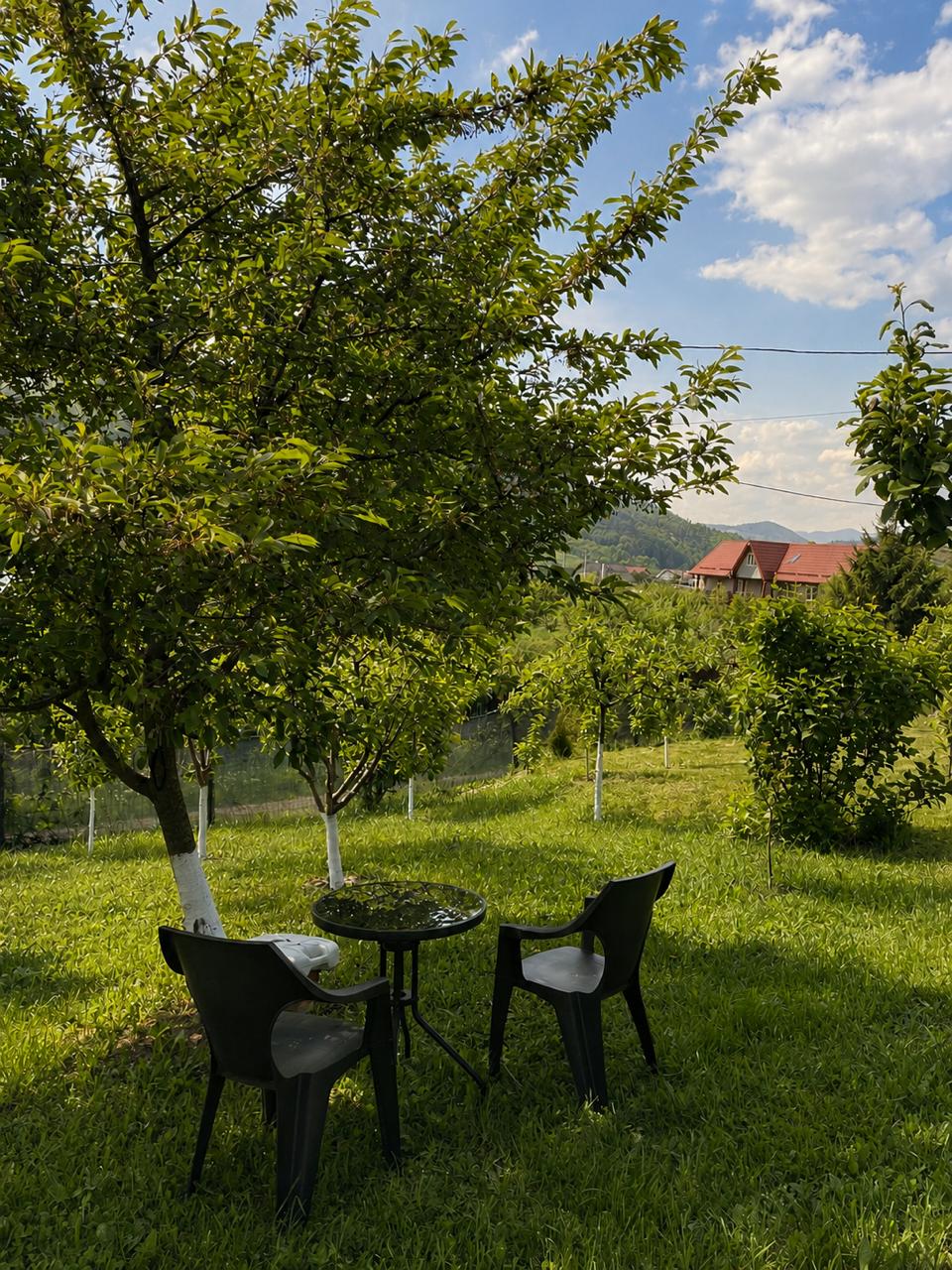 Livadă și natură